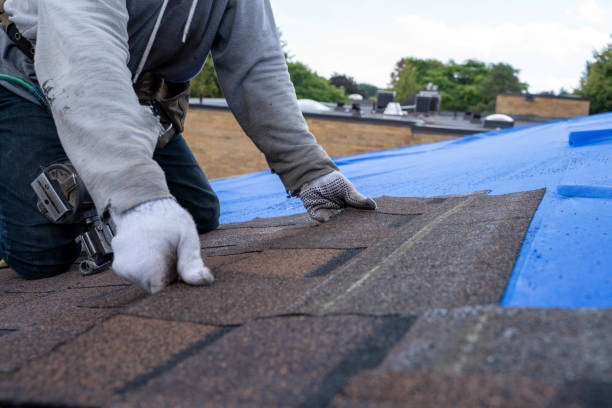 Best Commercial Roofing Services  in Fife Heights, WA